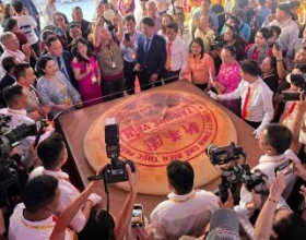 Thưởng thức bánh Pía 