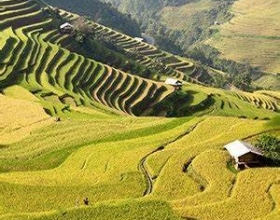 Ruộng bậc thang - bức tranh gương trời giữa núi rừng Tây Bắc