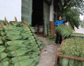 Việt Nam thu gần 9 triệu USD từ xuất khẩu lá cây