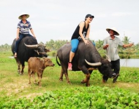 5 trải nghiệm làm nông thu hút dân khách tại miền Trung 