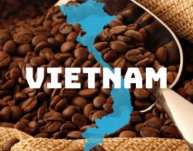 Xuất khẩu cà phê Việt Nam lập kỷ lục 2025