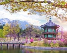 Top 5 món ăn Hàn Quốc đình đám tại Việt Nam nên thử