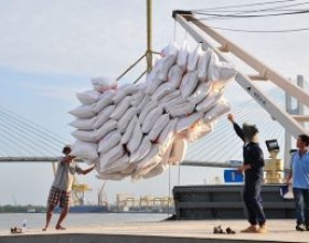 Gạo Việt chiếm lĩnh thị phần Singapore