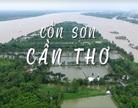 Du Lịch Cồn Sơn – Du Lịch Cộng Đồng Giữa Lòng Sông Hậu