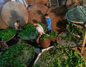 Vải Tơ Tằm Mỹ Thạnh Tây – Di Sản Phú Yên Vươn Sóng Biển Lớn