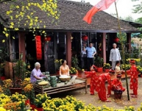 Hoa mai vàng khoe sắc, báo hiệu mùa xuân về