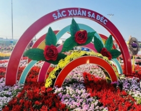 Sa Đéc – điểm đến của những người yêu hoa
