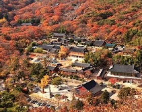 Chùa Cổ Beomeosa – Điểm Du Lịch Tâm Linh Nổi Tiếng Tại Busan