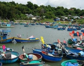 Thuyền thúng và những chuyến ra khơi nhuộm nắng gió